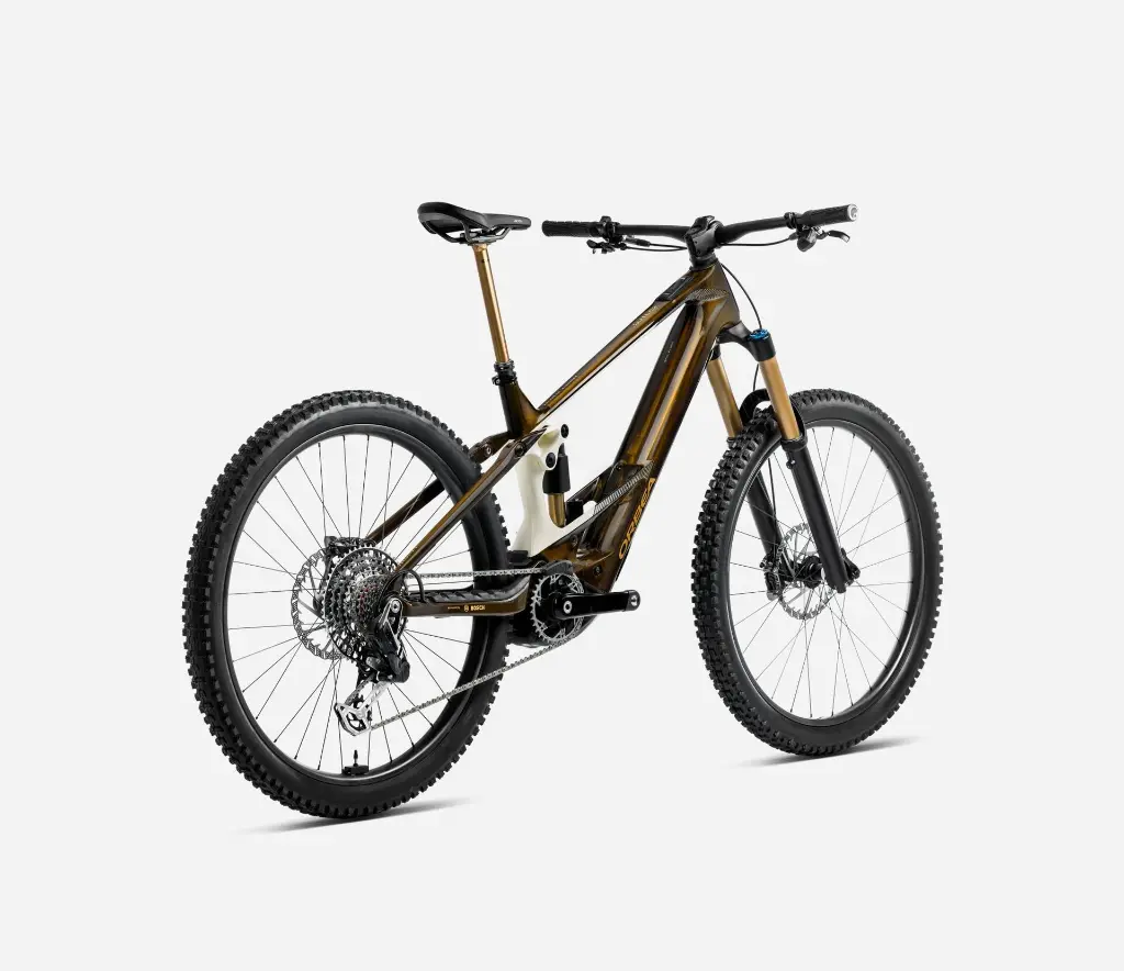 S349TTCC-X2-BACK-WILD_MLTD_over.webp