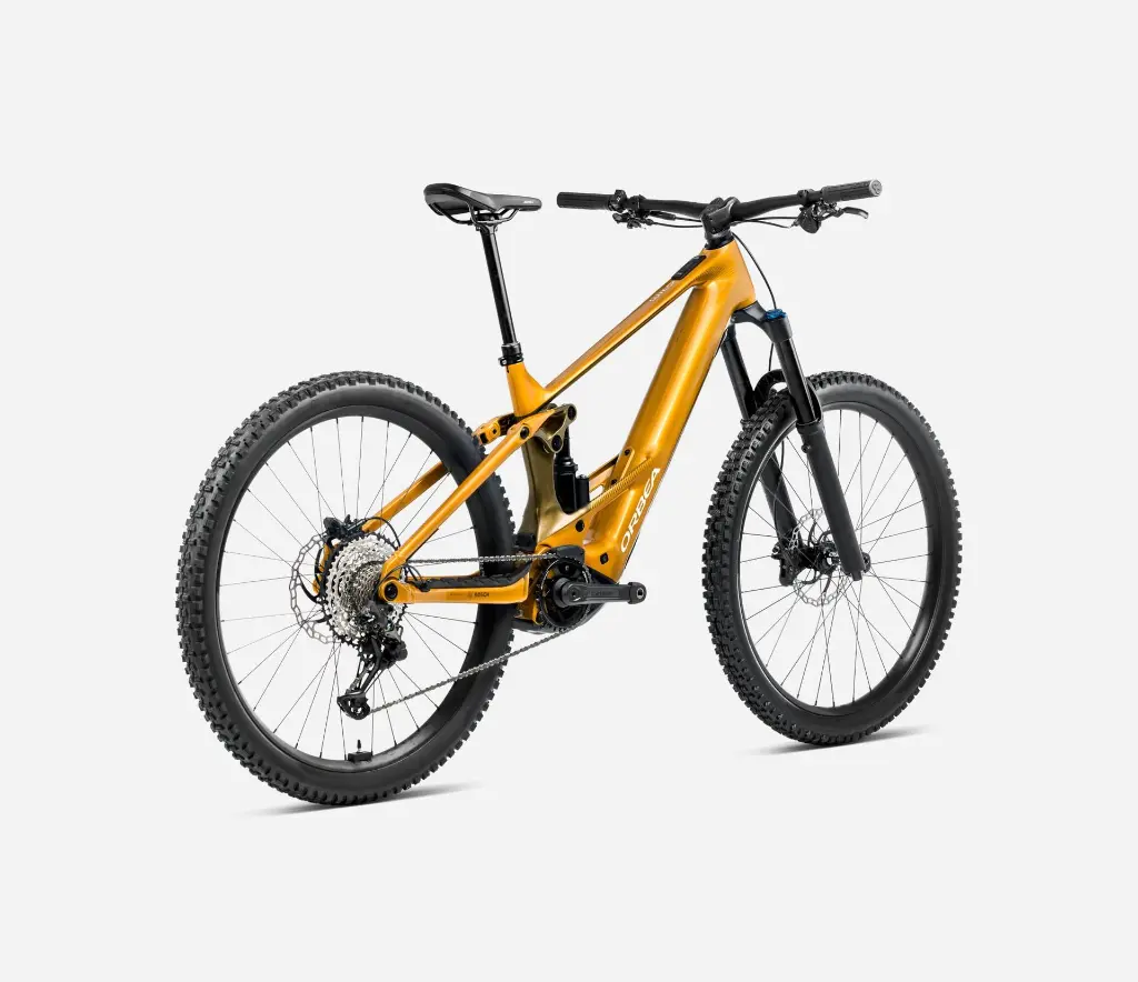 S344TTCC-SM-BACK-WILD_H10_over.webp