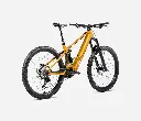 S344TTCC-SM-BACK-WILD_H10_over.webp